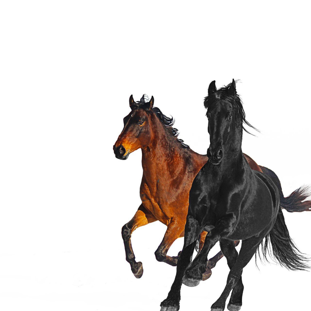 Old Town Road Song Download